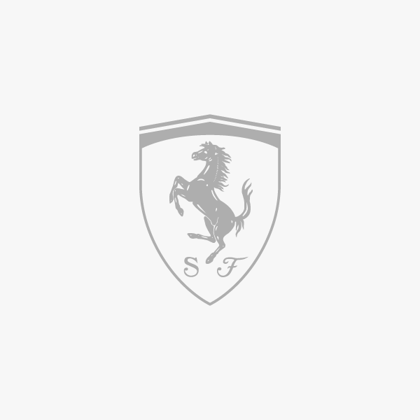Ferrari - Artwork Bodyshop Inc.